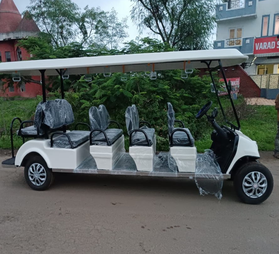 Cartenza Golf Cart 10S